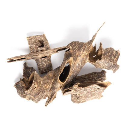 Collection image for: Oudwood