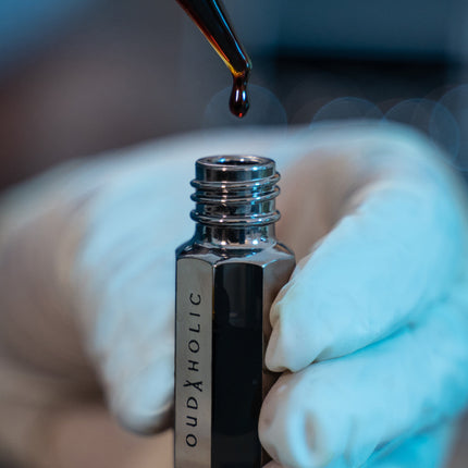 Collection image for: For Daily Use