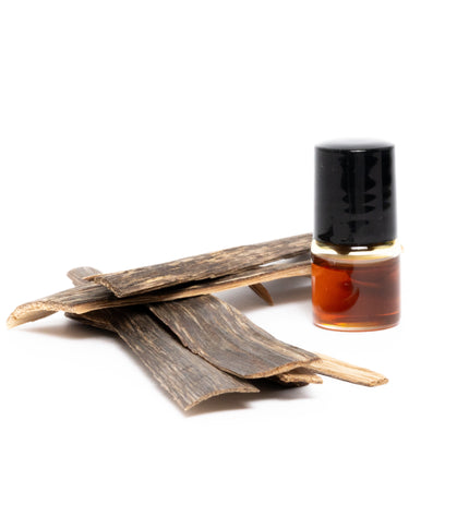 مجموعة عود 3: كوشان دهن نانو وعود لاوسي