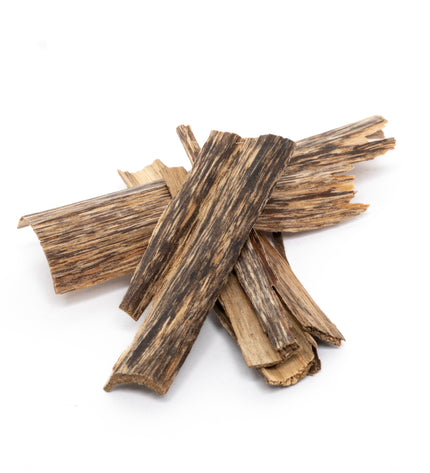 مجموعة عود 3: كوشان دهن نانو وعود لاوسي