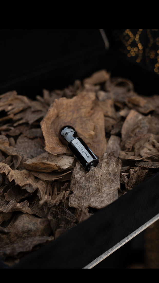 <h3>For Special Occasions</h3>